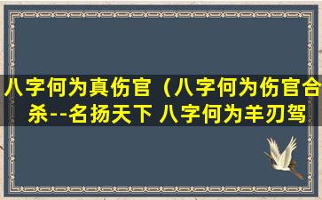 八字何为真伤官（八字何为伤官合杀--名扬天下 八字何为羊刃驾杀）